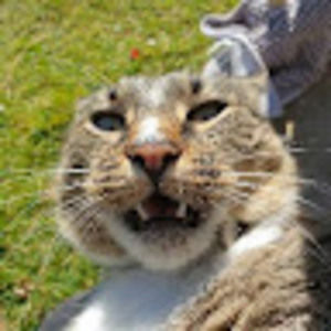 Meet your Posher, Max